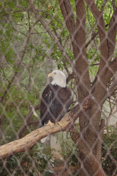 DSC_0055.JPG