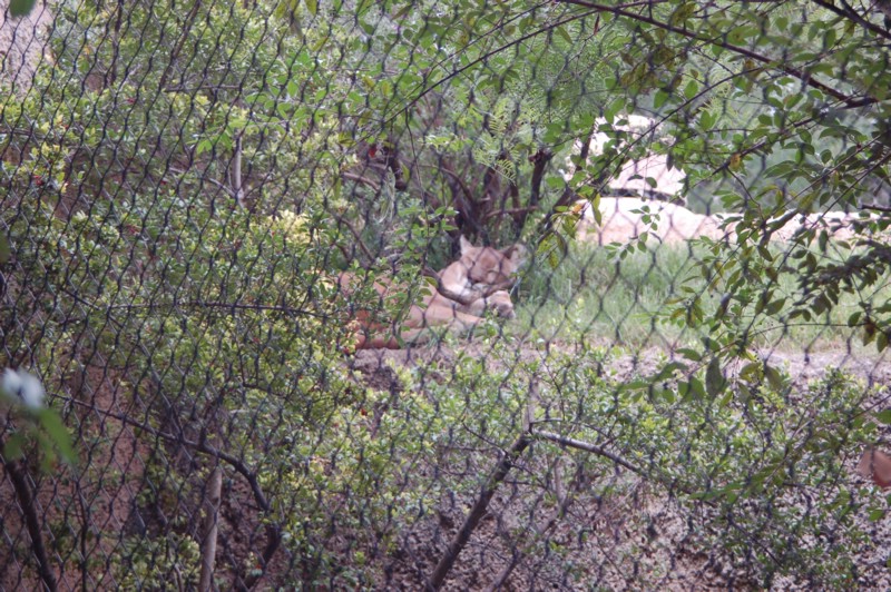 DSC_0056.JPG