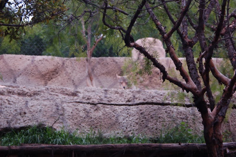 DSC_0057.JPG