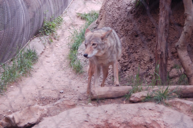 DSC_0058.JPG