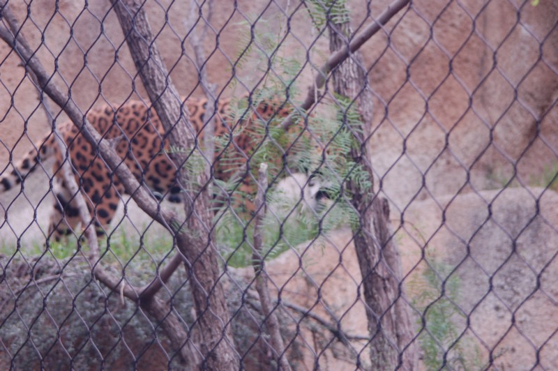 DSC_0063.JPG