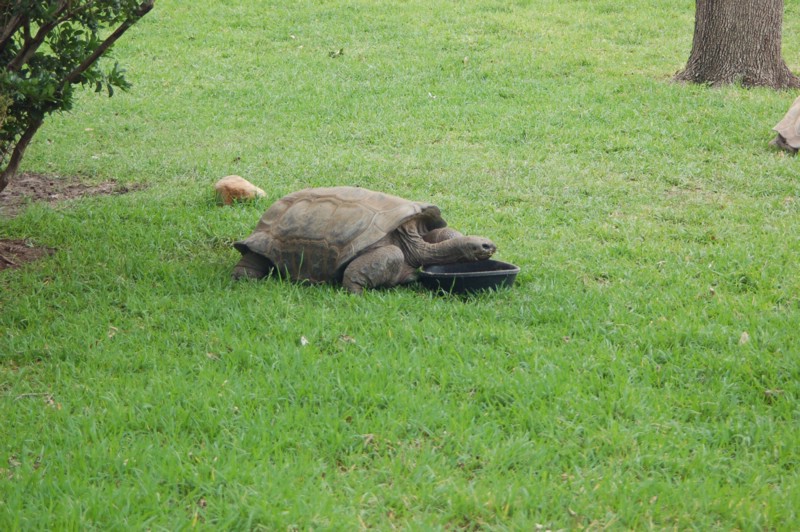 DSC_0069.JPG