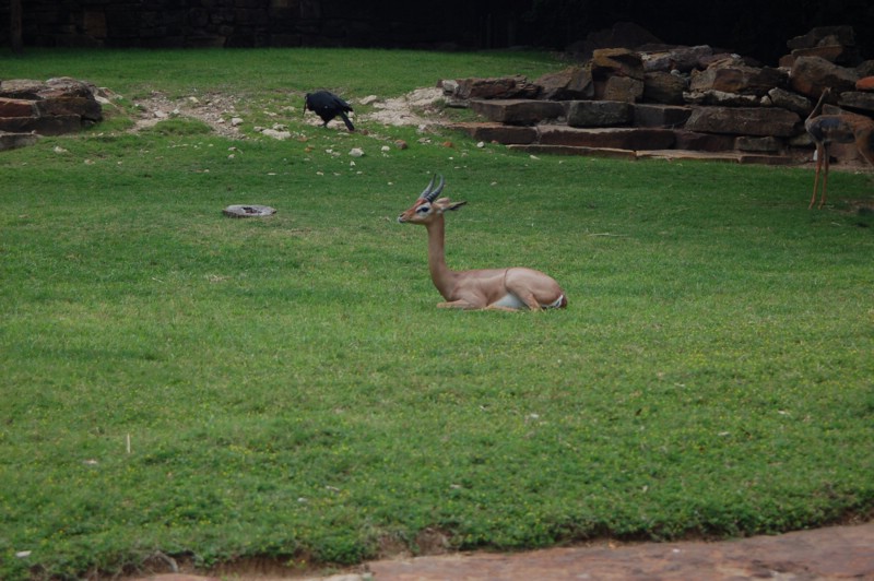 DSC_0071.JPG