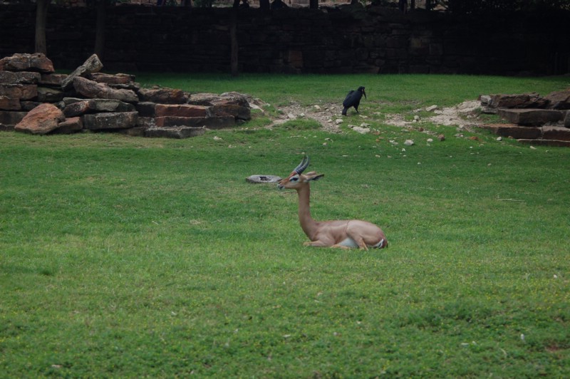 DSC_0072.JPG
