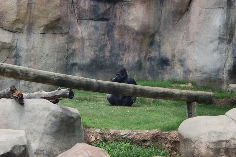 DSC_0073.JPG