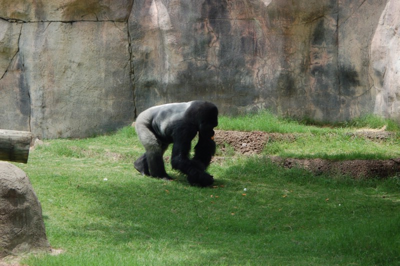 DSC_0075.JPG