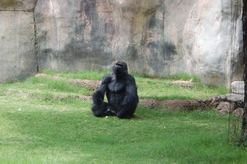 DSC_0076.JPG