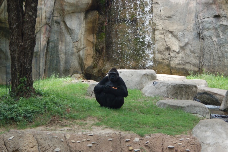DSC_0077.JPG