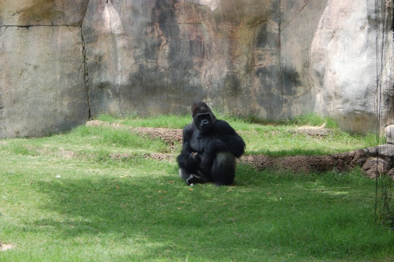 DSC_0078.JPG