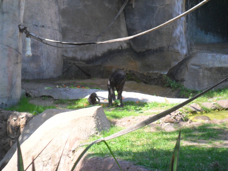 SAM_0203.JPG