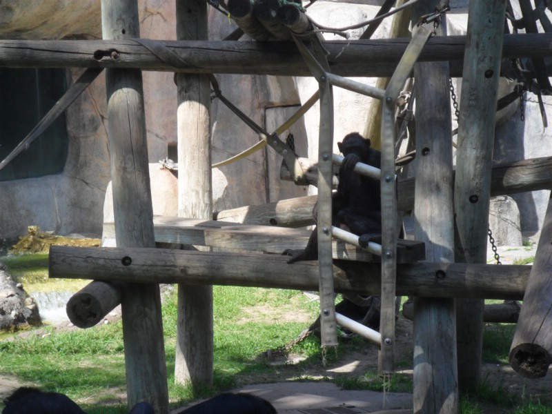 SAM_0204.JPG