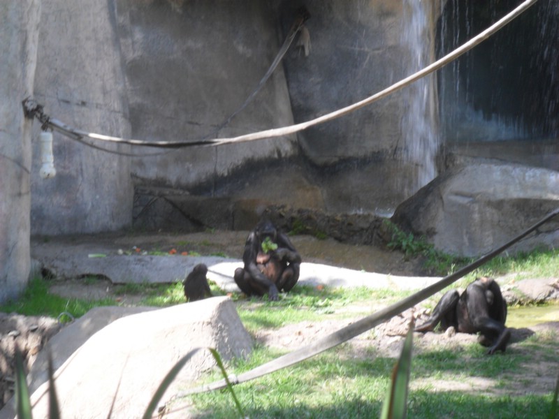 SAM_0205.JPG