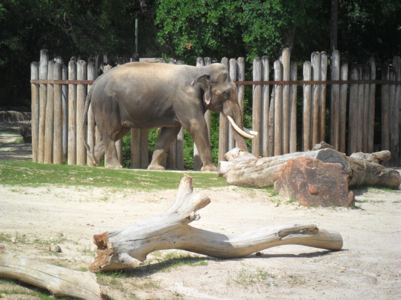 SAM_0210.JPG