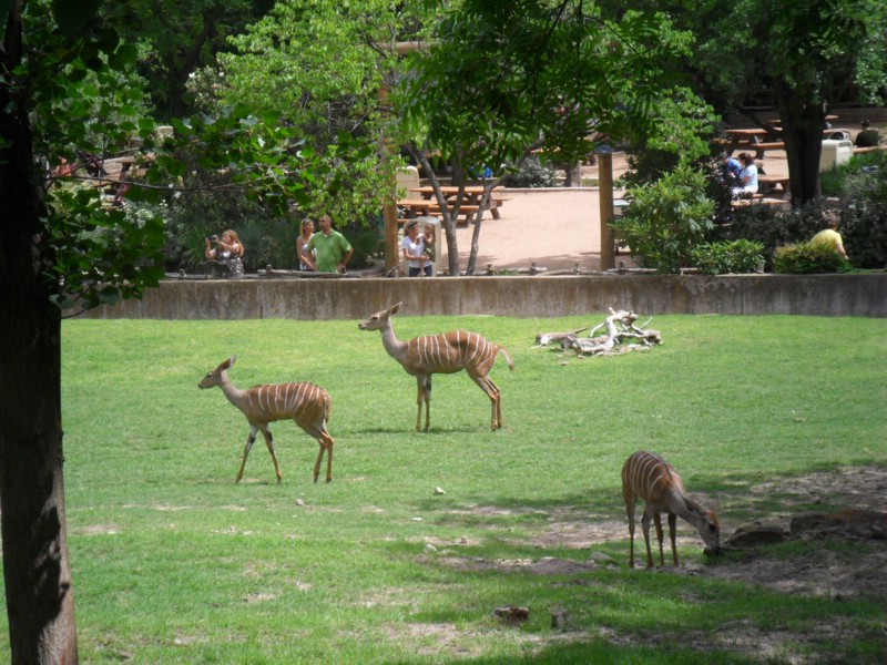 SAM_0230.JPG