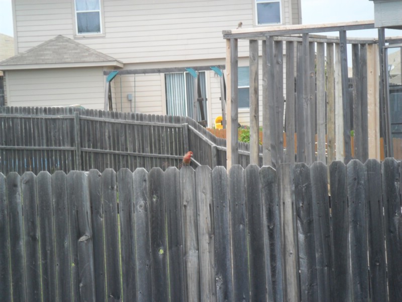 SAM_0260.JPG