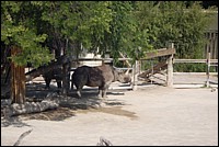 DSC_0002.JPG