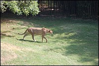 DSC_0005.JPG