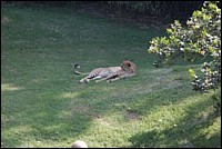 DSC_0006.JPG