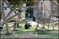 DSC_0007.JPG