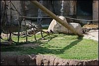 DSC_0008.JPG