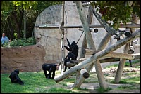 DSC_0010.JPG