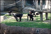 DSC_0011.JPG