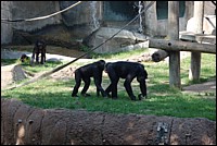 DSC_0012.JPG
