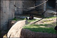 DSC_0013.JPG