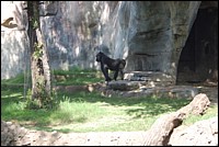 DSC_0014.JPG