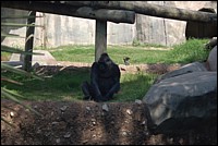 DSC_0017.JPG