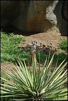 DSC_0019.JPG