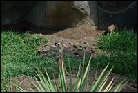DSC_0020.JPG