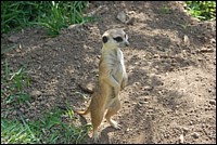 DSC_0021.JPG