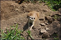 DSC_0022.JPG