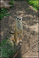 DSC_0023.JPG