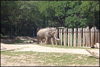 DSC_0024.JPG