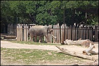 DSC_0025.JPG