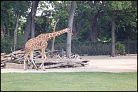 DSC_0029.JPG