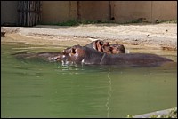 DSC_0030.JPG