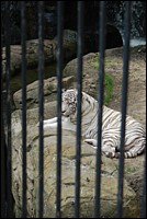 DSC_0039.JPG