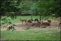 DSC_0043.JPG