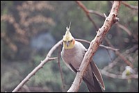 DSC_0044.JPG