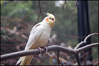 DSC_0045.JPG