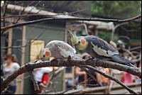 DSC_0049.JPG