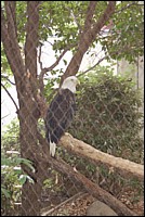 DSC_0053.JPG