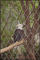 DSC_0055.JPG