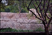 DSC_0057.JPG