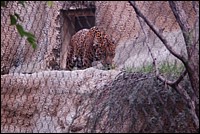 DSC_0065.JPG