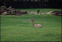 DSC_0072.JPG