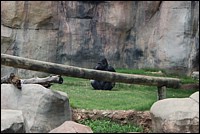 DSC_0073.JPG